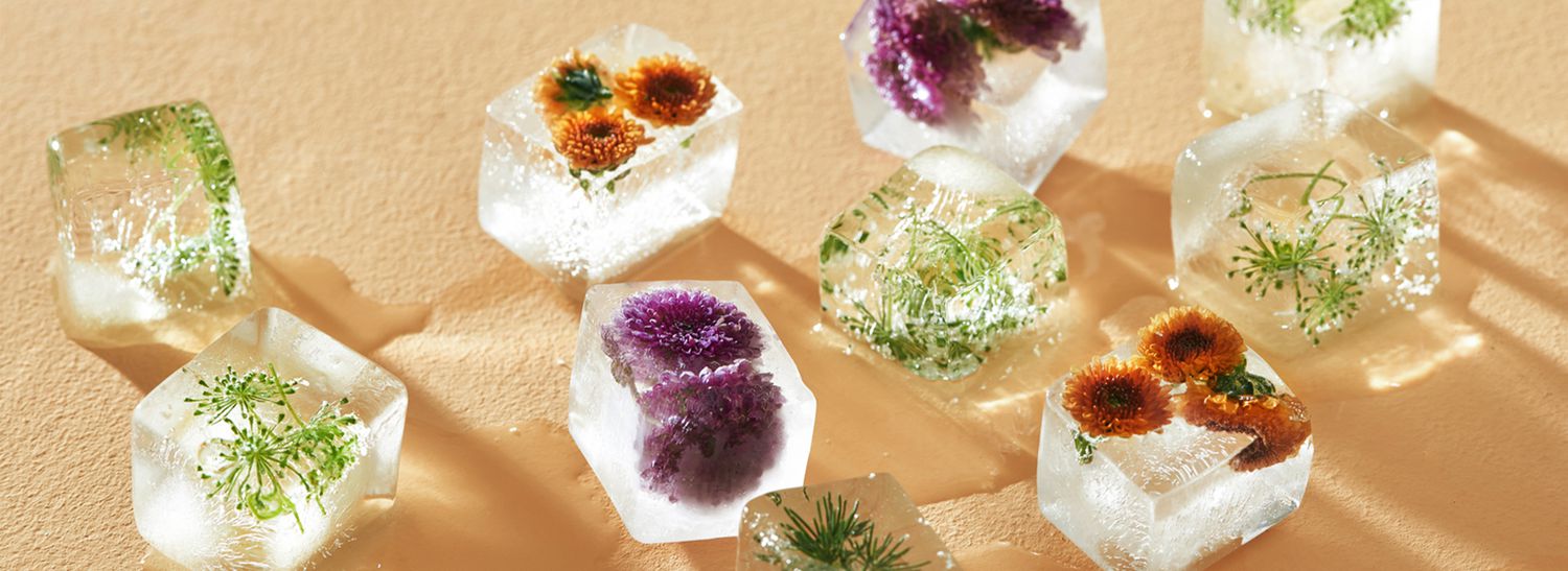 ice cubes with flowers