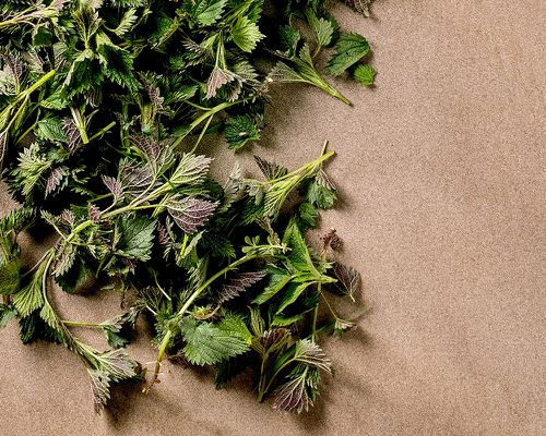 Nettle tea leaves on a brown background