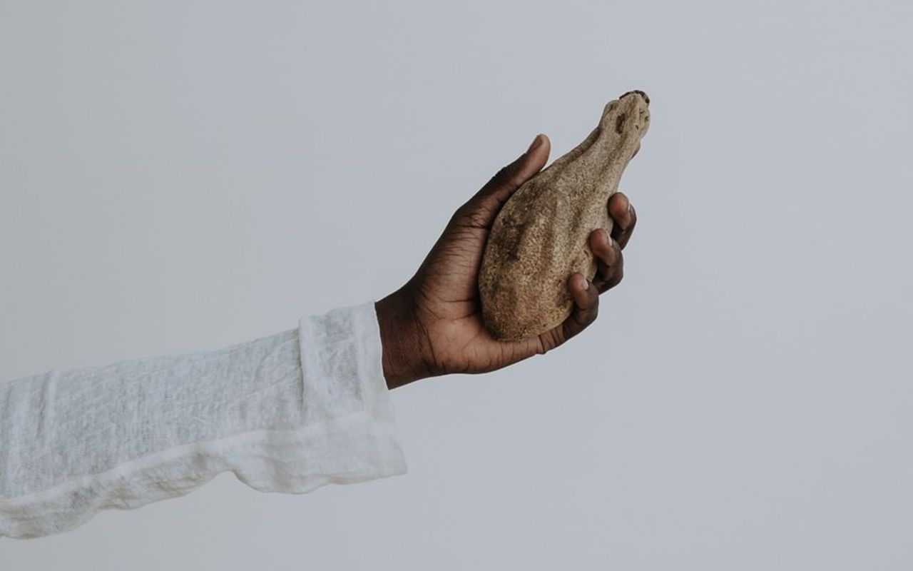 A hand holding a kigelia africana plant.