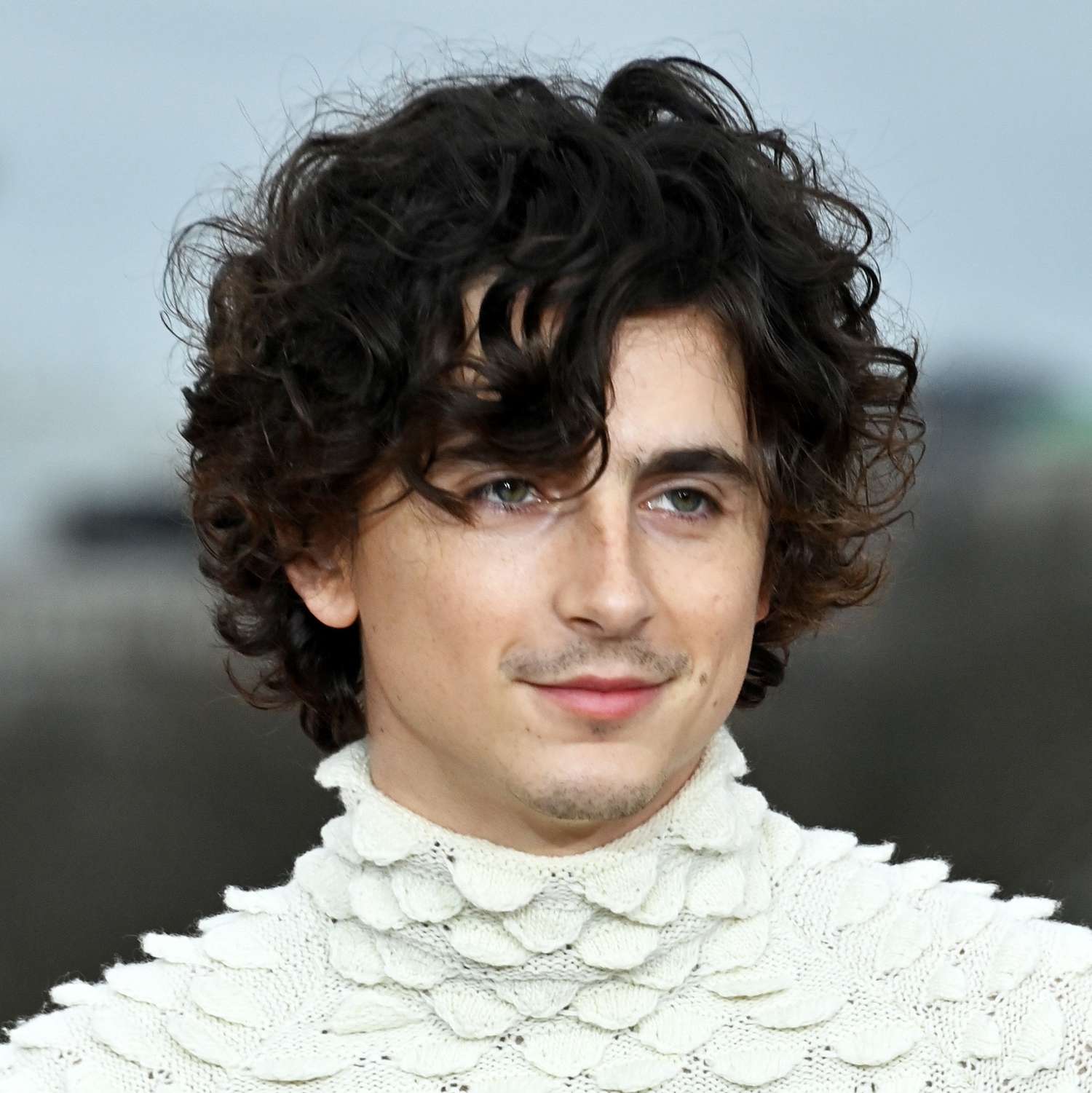 long hairstyles for men timothee chalamet