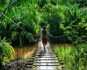 Man crossing a suspension bridge in Costa Rica seen from behind