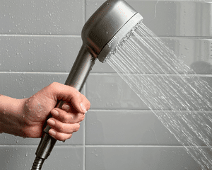 Canopy Handheld Showerhead