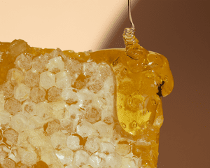 close up of honey dripping onto honey comb