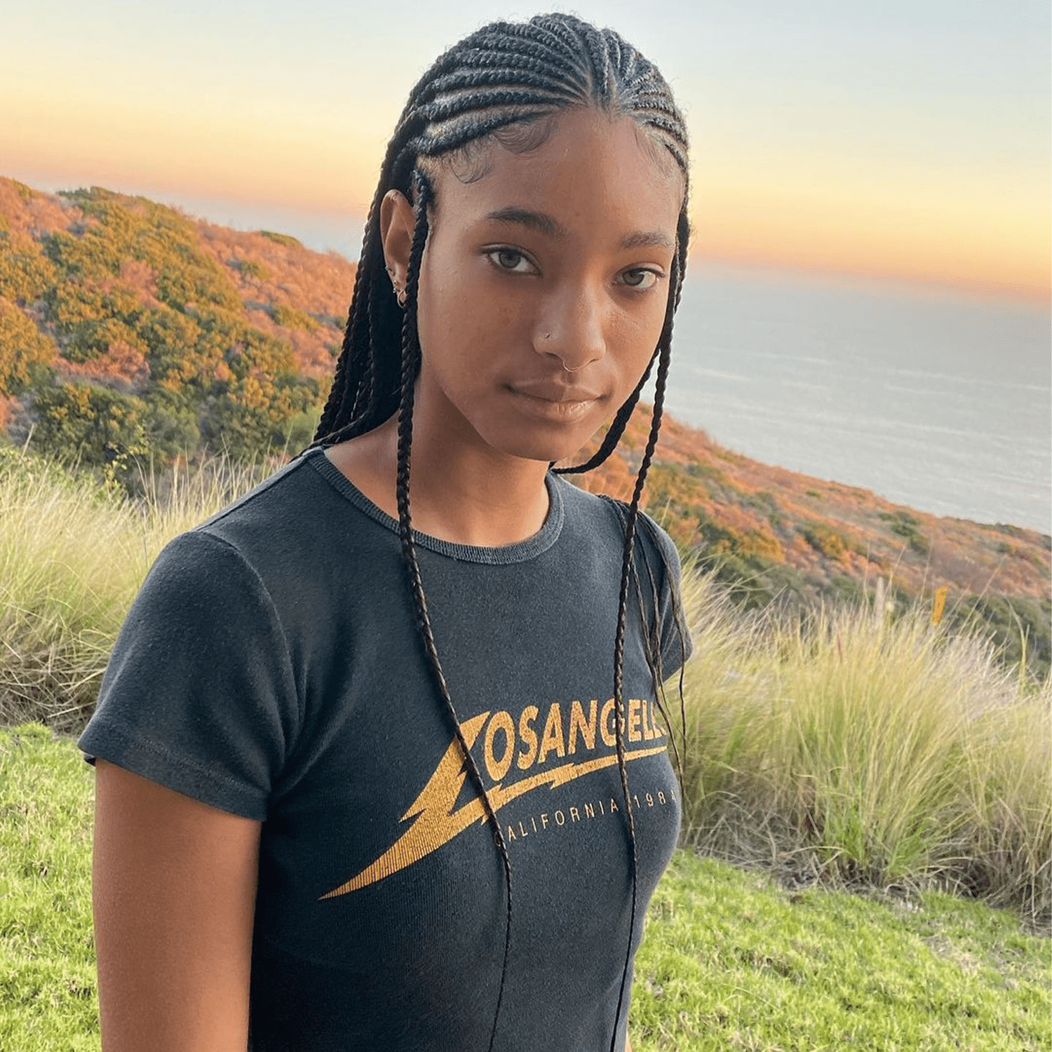 willow smith wearing fulani braids