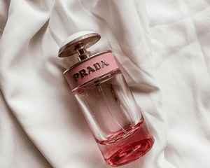 prada candy